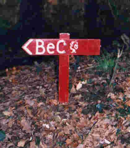 BeC Arrow