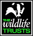 wt logo