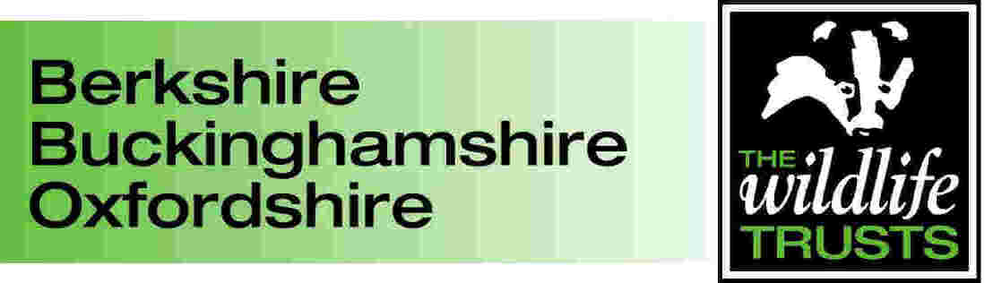 bbowt logo