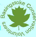 bcv logo