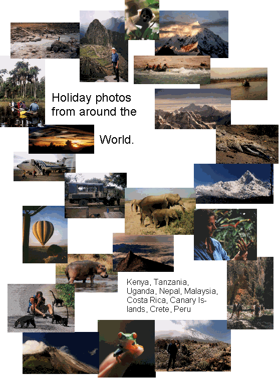 Holiday Photos